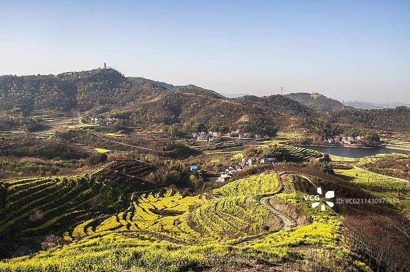 湖北黄冈浠水县城山村梯田油菜花田园风光图片素材