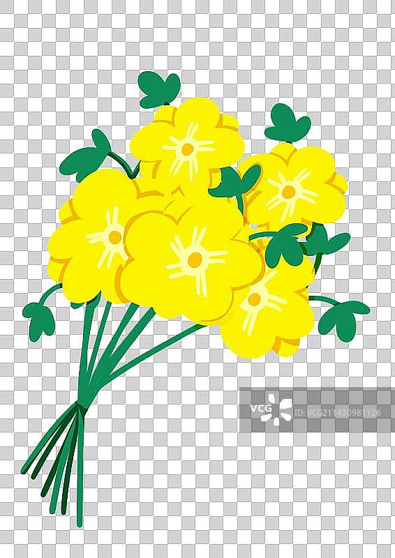 迎春花 花束图片素材