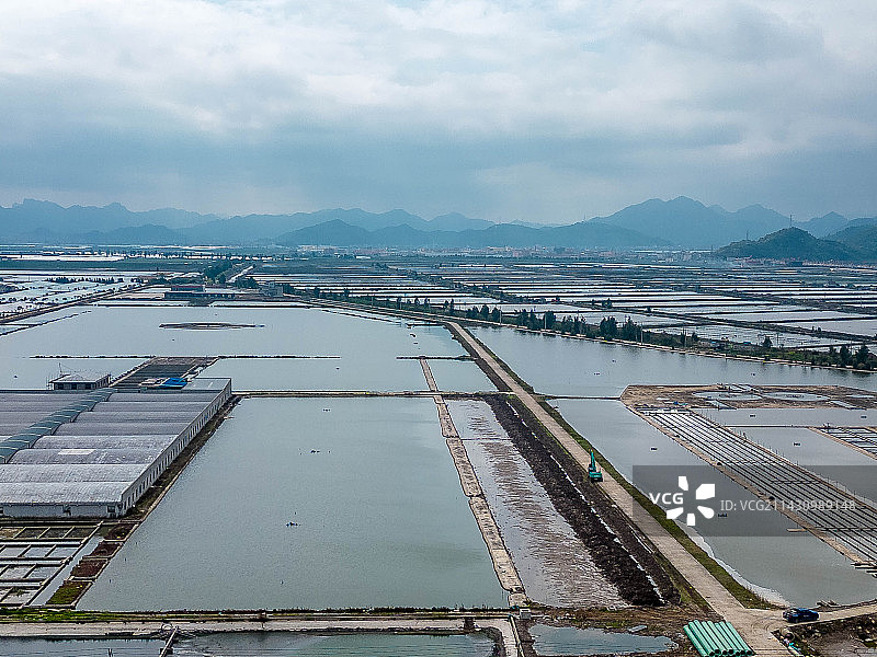 南美白对虾大棚养殖图片素材