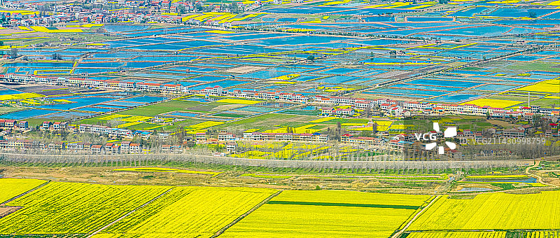 春季长江中下游平原江岸风光图片素材