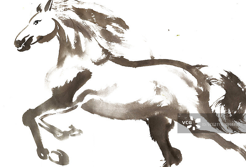 奔腾的骏马图片素材