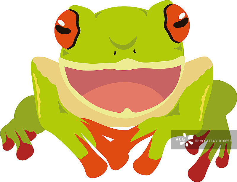 绿色青蛙两栖动物图片素材