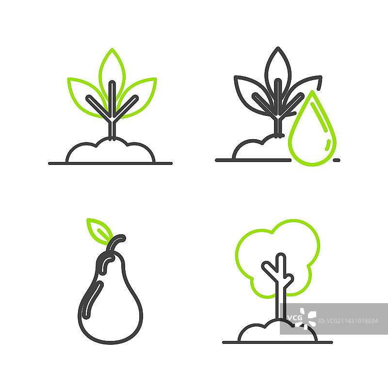 地上树、梨、浇水植物线条设计图片素材