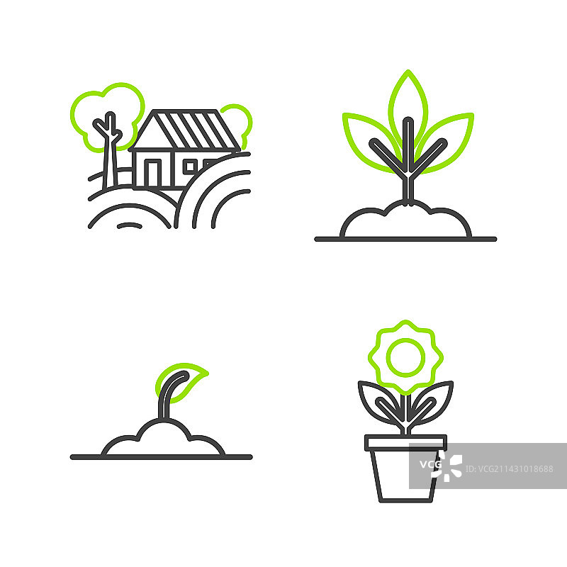 盆栽花卉，发芽植物和农场线条图片素材