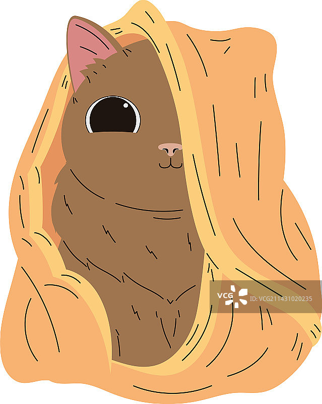 盖着黄色毯子的猫图片素材