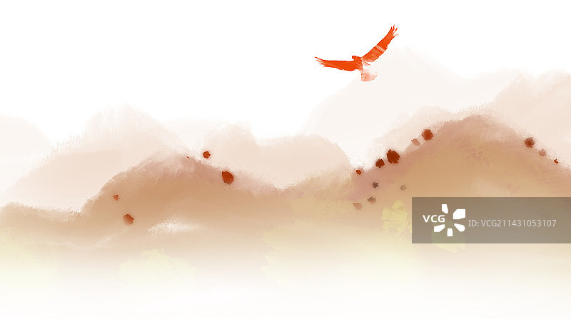 白色背景下高山飞鹰特写镜头图片素材