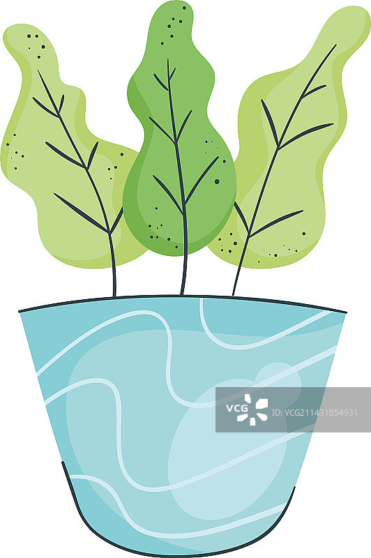 蓝色花盆中的室内植物图片素材