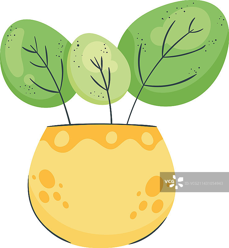 黄色花瓶中的盆栽图片素材