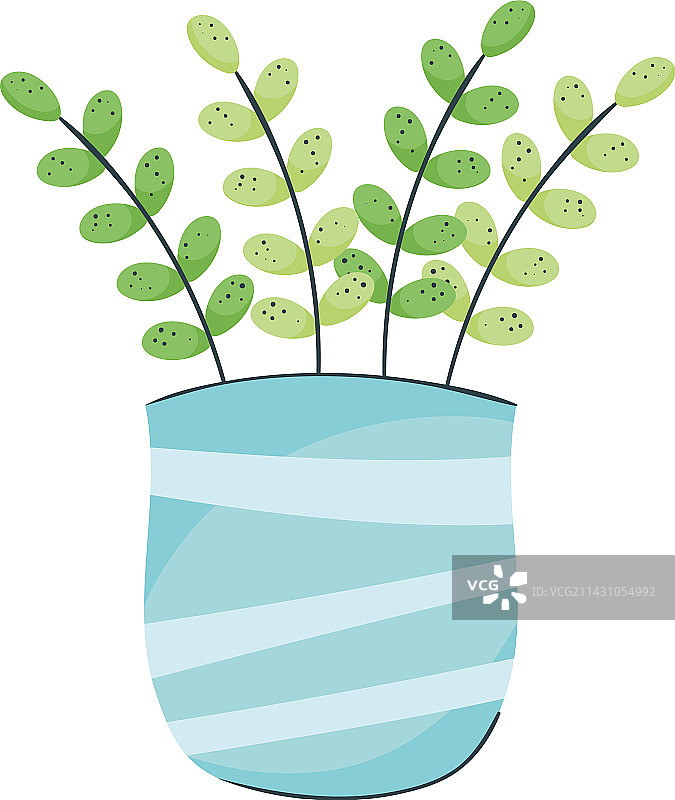 蓝色花瓶中的室内植物图片素材