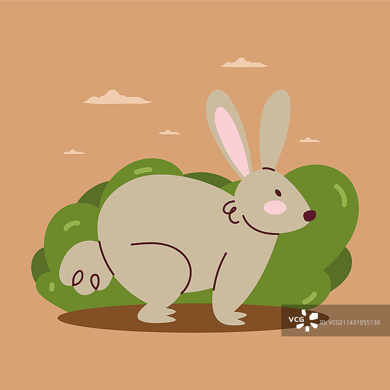 灰色家兔图片素材