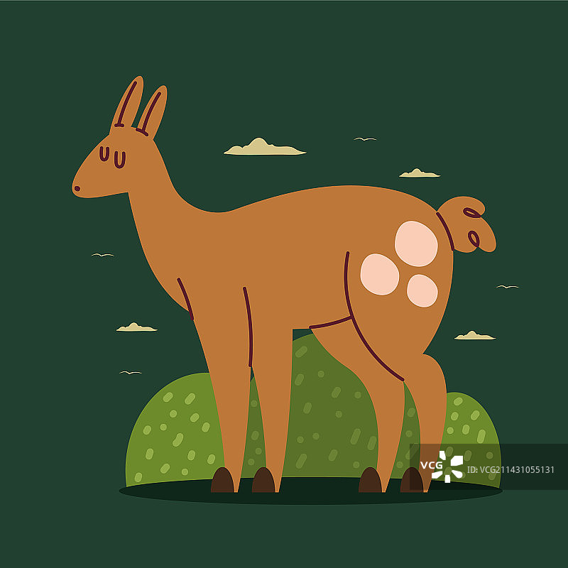 可爱的小鹿野生动物图片素材