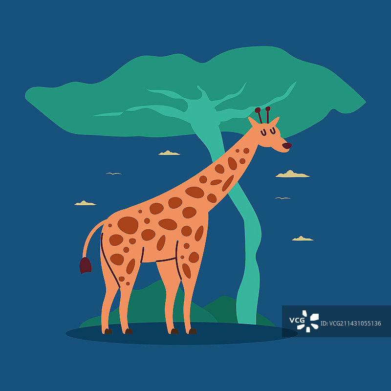 可爱的野生动物长颈鹿图片素材