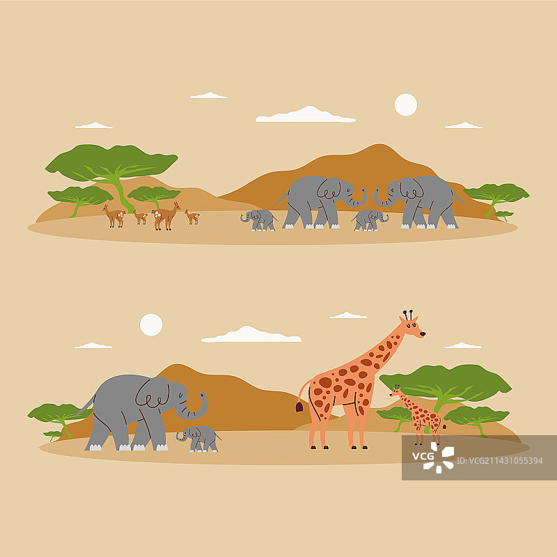 非洲野生动物图片素材