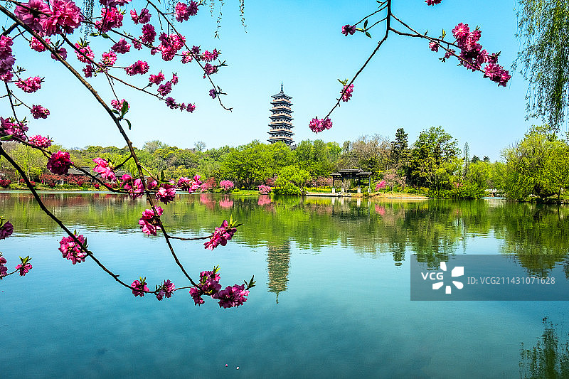烟花三月再桃红柳绿的瘦西湖眺望大明寺栖灵塔图片素材