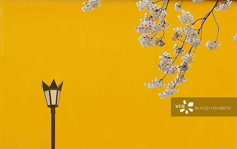 黄色墙上路灯的低角度视图图片素材