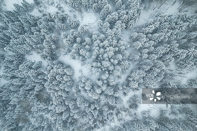 黑龙江 雪乡 大兴安岭 林海雪原 森林航拍图片素材