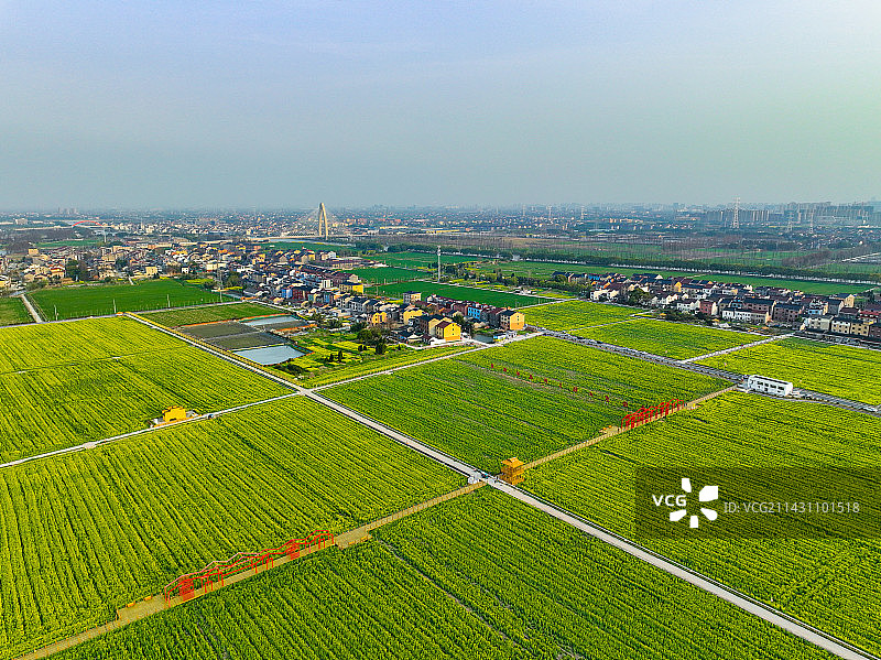临平运河街道自然风景图片素材