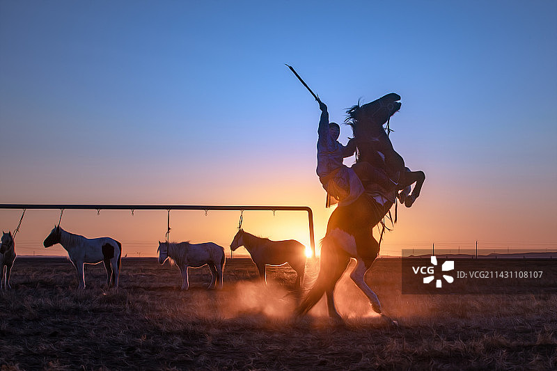 扬扬洒洒挥晨晖图片素材
