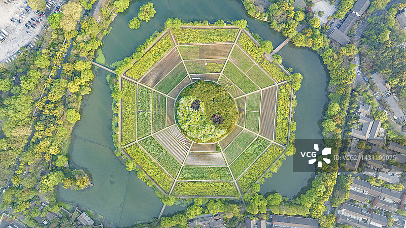 航拍春天的杭州八卦田景区，油菜花盛开图片素材