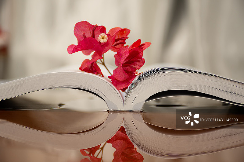 鲜花下摊开的书图片素材