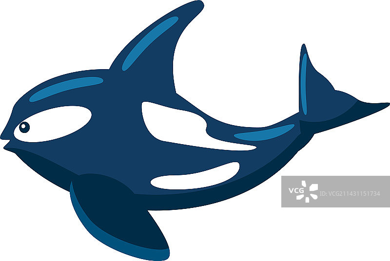 虎鲸水生动物图片素材