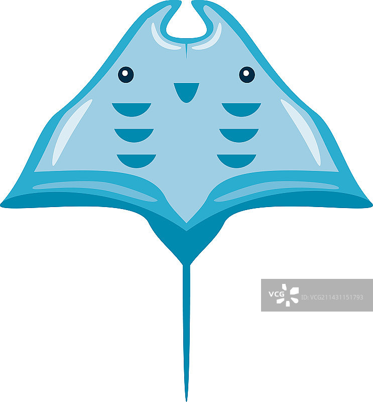 水生动物黄貂鱼图片素材