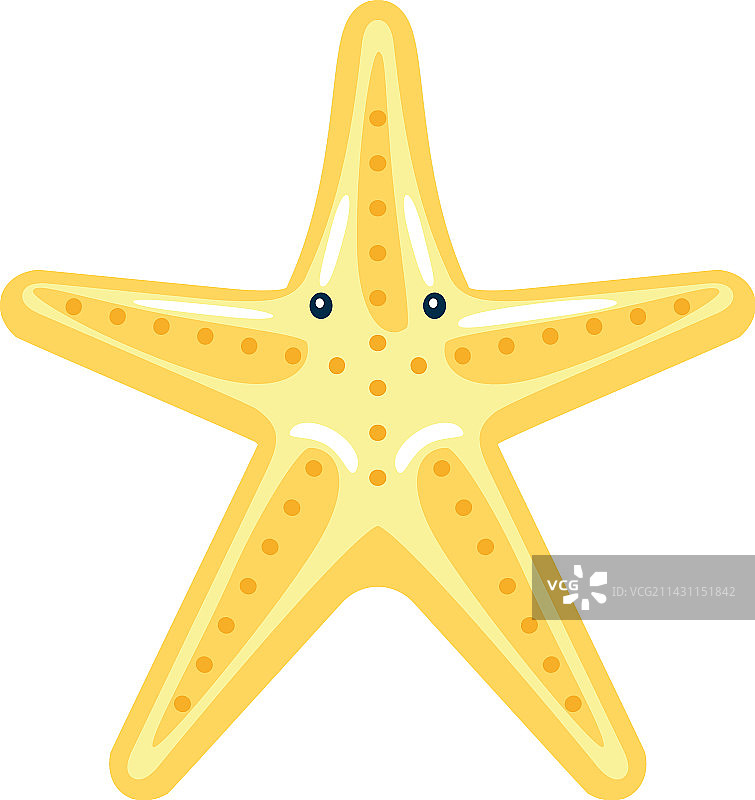 水生动物海星图片素材