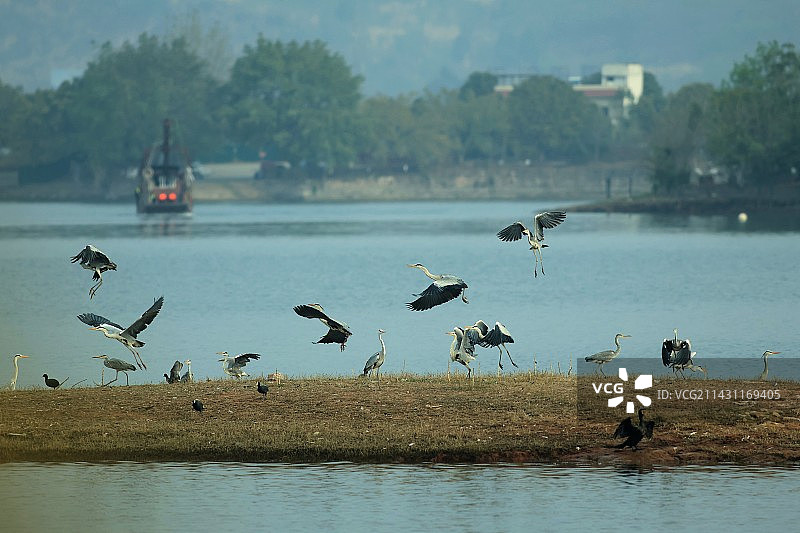 巜家园》，拍摄于成都市简阳三岔湖图片素材
