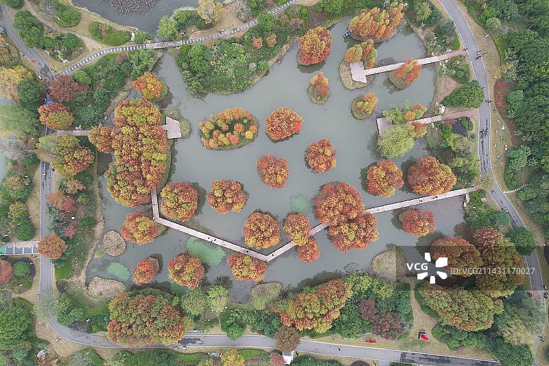 丁塘河湿地公园图片素材