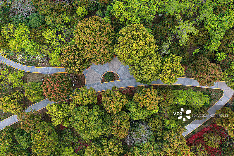 航拍视角下的绿色公园图片素材