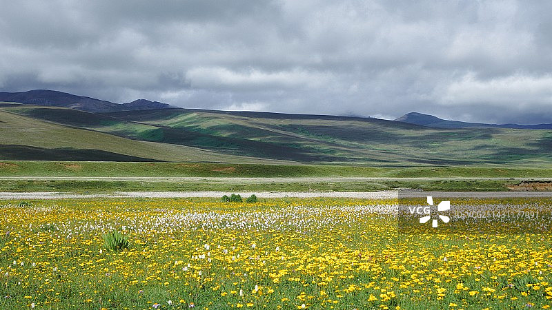 毛娅草原图片素材