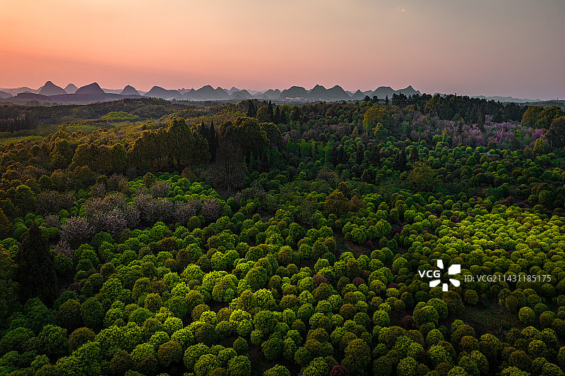 贵州省贵阳市贵安新区平坝农场林木苗圃夕阳航拍图片素材