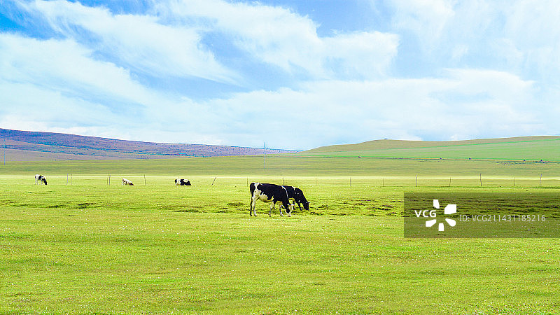 呼伦贝尔草原牧场图片素材