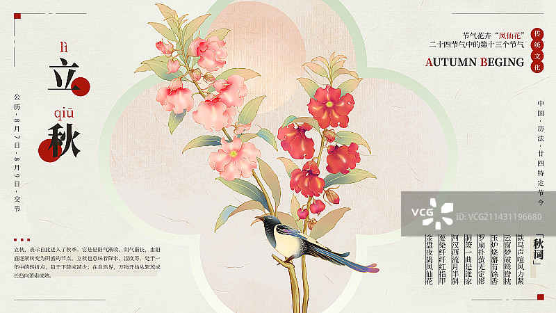 国风手绘二十四节气花卉植物海报之立秋凤仙花图片素材