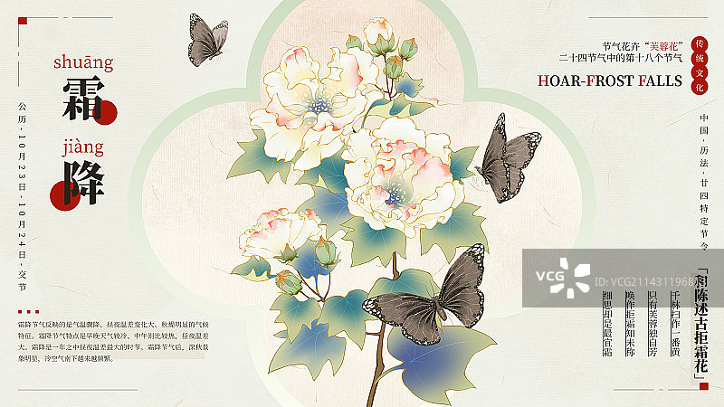 国风手绘二十四节气花卉植物海报之霜降芙蓉花图片素材