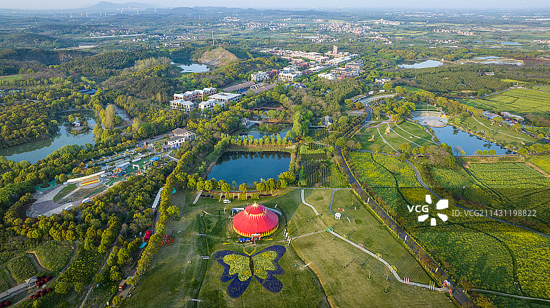 南京高淳区国际慢城 吕家大草坪 油菜花图片素材