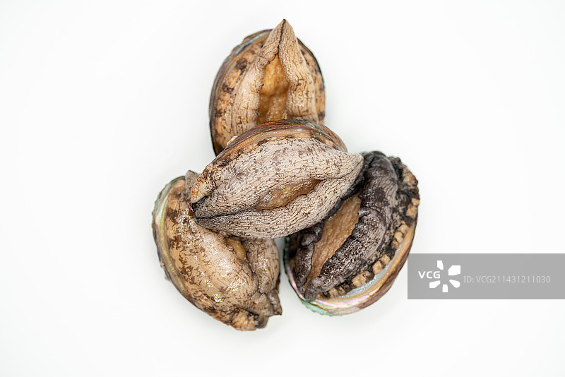 海鲜海货鲍鱼特写镜头图片素材