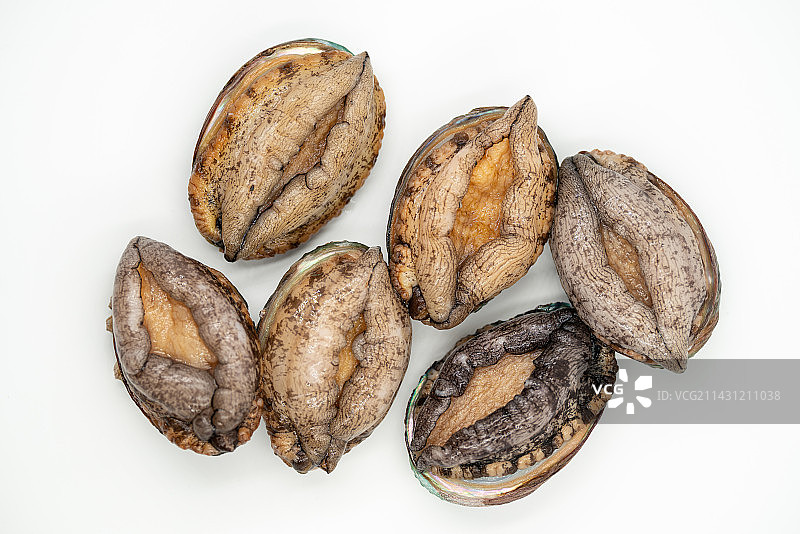 海鲜海货鲍鱼特写镜头图片素材