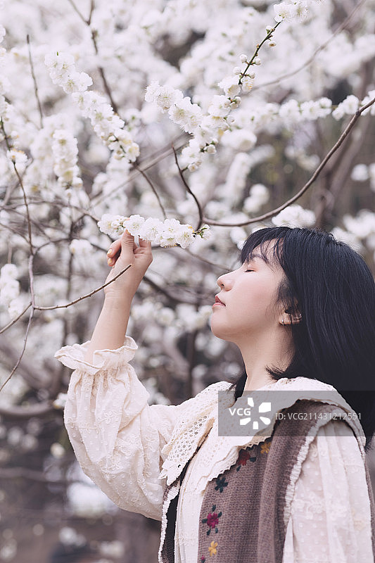 玉渊潭樱花下的少女风图片素材