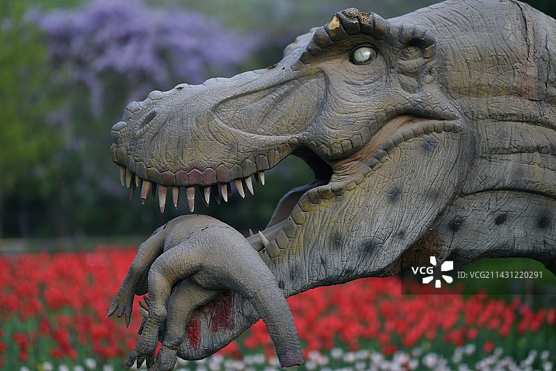 霸王龙图片素材