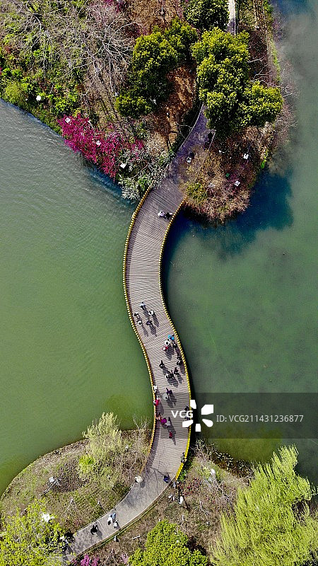 桃花岛图片素材