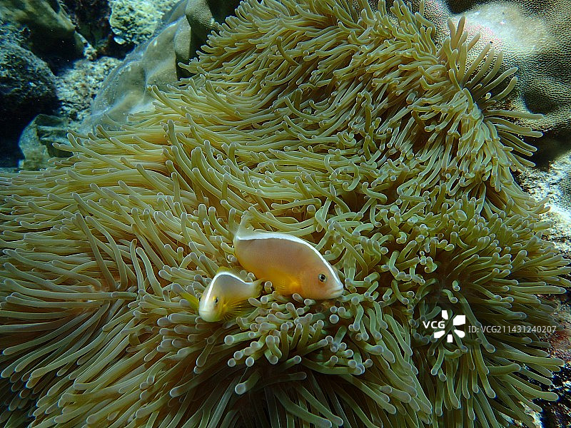 海里的故事图片素材