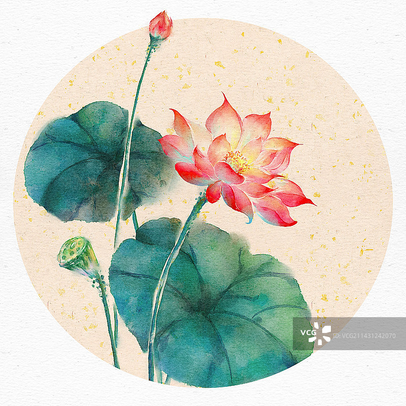 古风水墨重彩荷花图片素材