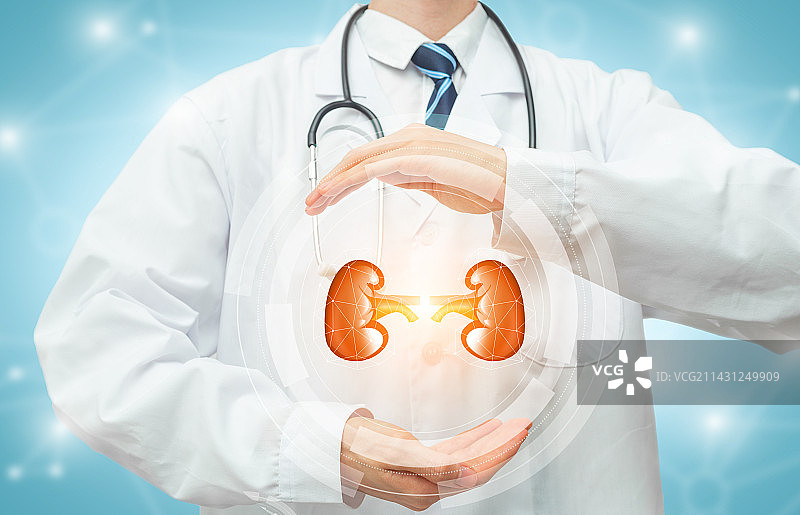 医生爱护肾脏手势图片素材