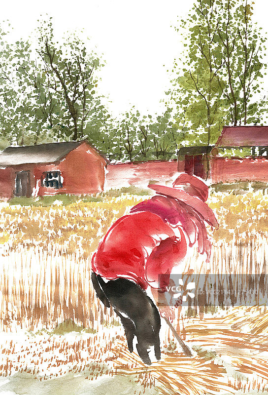 田间割麦子图片素材