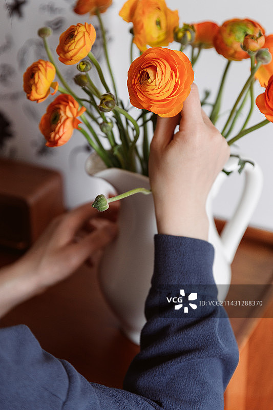 鲜切花洋牡丹花毛茛图片素材