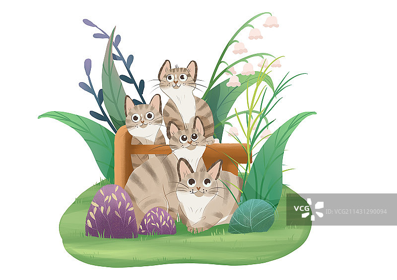 快乐的小猫图片素材