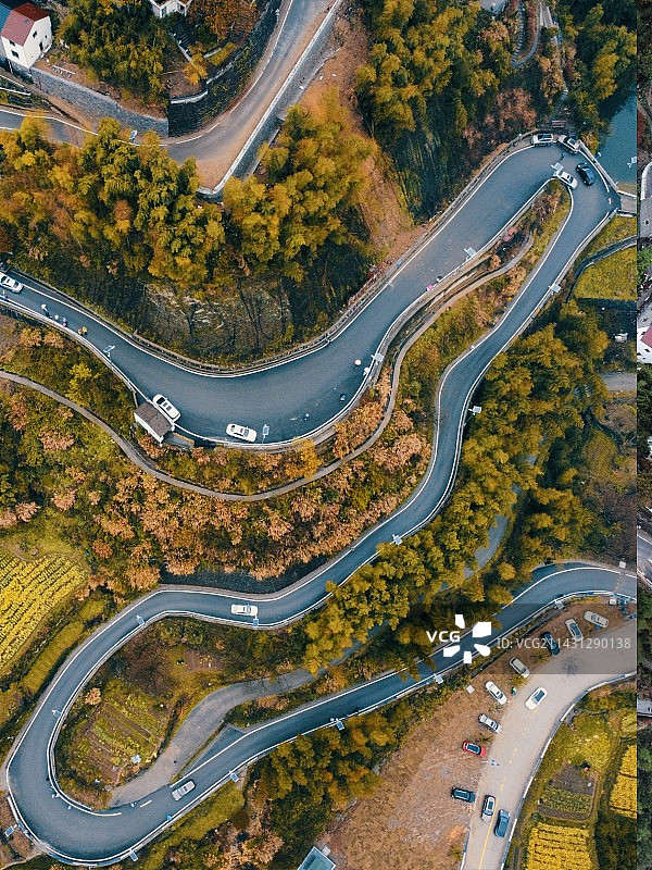 春之路图片素材