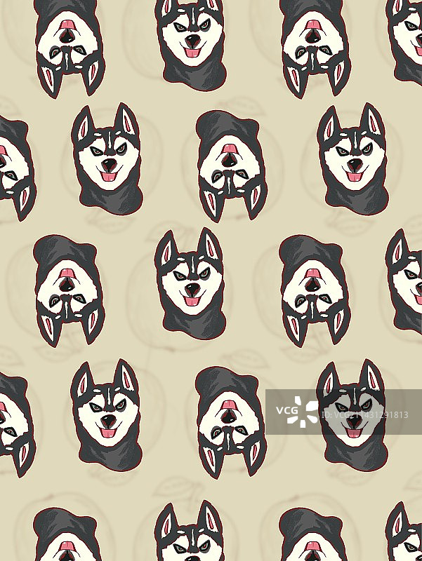 哈士奇图片素材