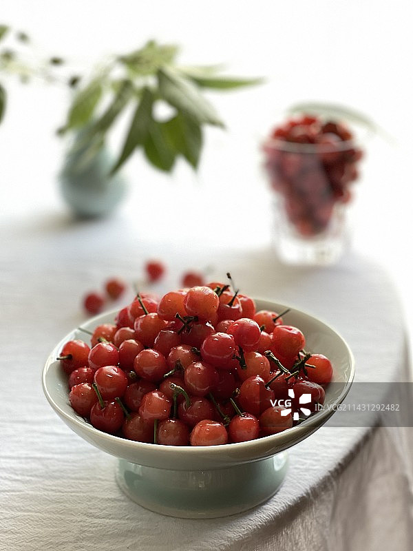 樱桃成熟了图片素材